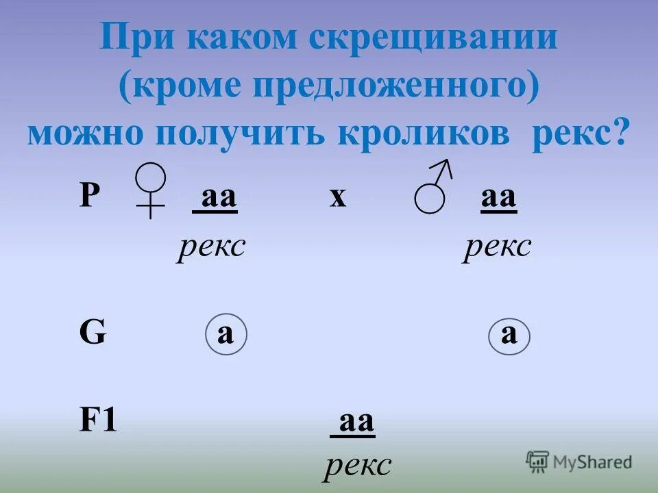 Нализирующее скрещивани. Анализирующее скрещивание гетерозиготы. Независимое наследование решетка пеннета. Анализирующее скрещивание схема скрещивания. Решетка пеннета для моногибридного.