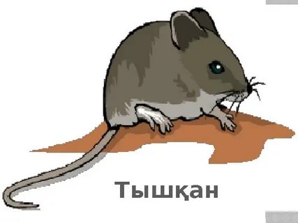 Түнгі фотодағы әйел