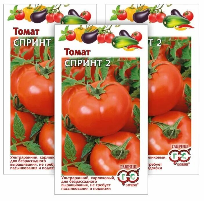 томат безрассадный (0. томат спринт. томат могучан степанова. томат спринт 2 гавриш. томат рио спринт.