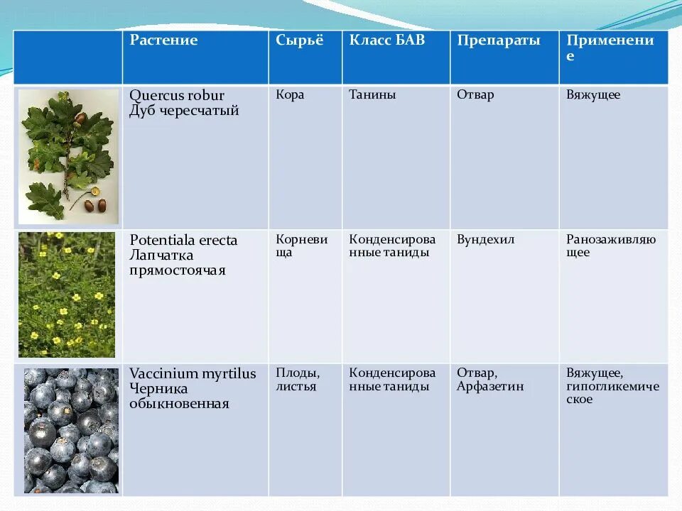 Какое наличие растительных