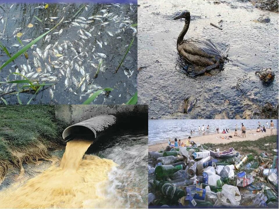 Экология водных объектов. Экология водоемов. Загрязнение водоемов. Загрязненные водоемы. Загрязнение природных вод.