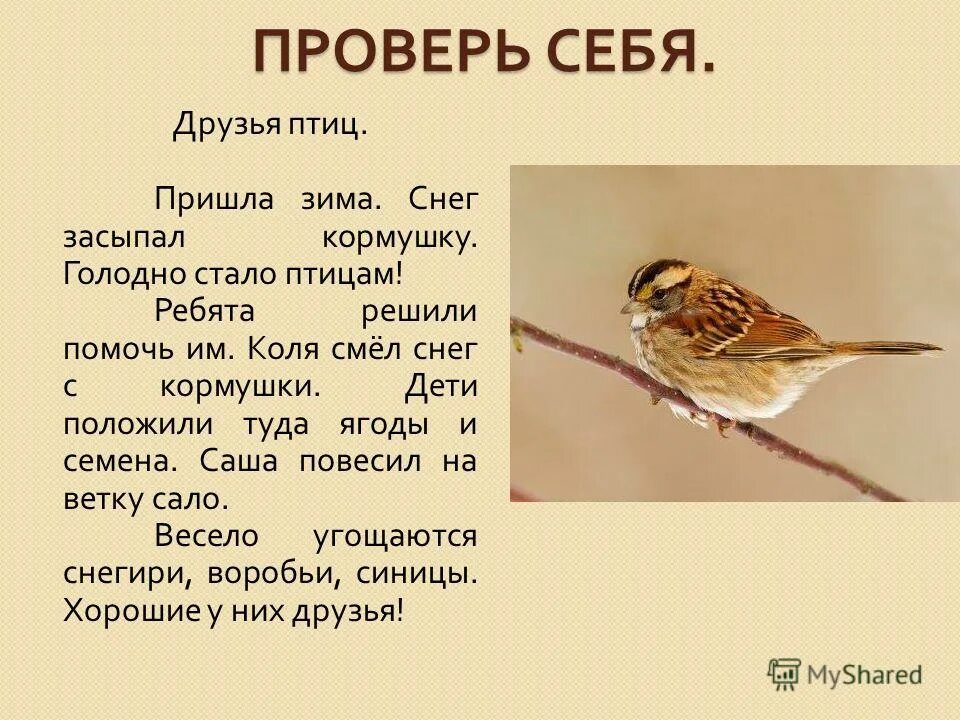 расскажите что смастерили ребята для птиц почему. сочинение на тему друзья птиц 2 класс. сочинение про птиц. расскажите что смастерили ребята для птиц почему. ребята сделали 70 кормушек.