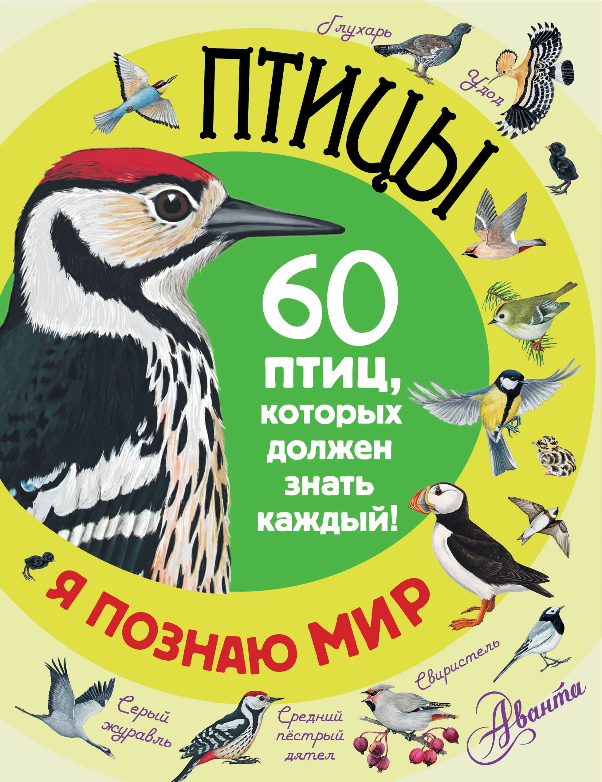 Содержание птиц книги. Книги о птицах. Книги о птицах для детей. Rybub j gnbwf[ lkz ltntq. Книги о птицах Художественные.