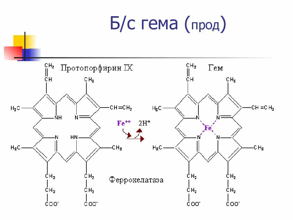 Протопорфирин. Структура гема формула. Гем формула биохимия. Гем химическая формула. Гем строение биохимия.