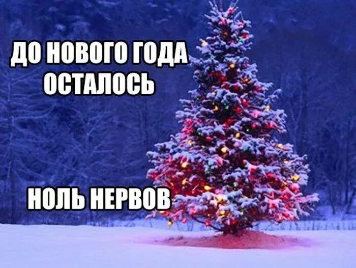 Про декабрьский. Про декабрьский. Декабрь надпись. Открытки декабрьский приветик. Приколы про январь.