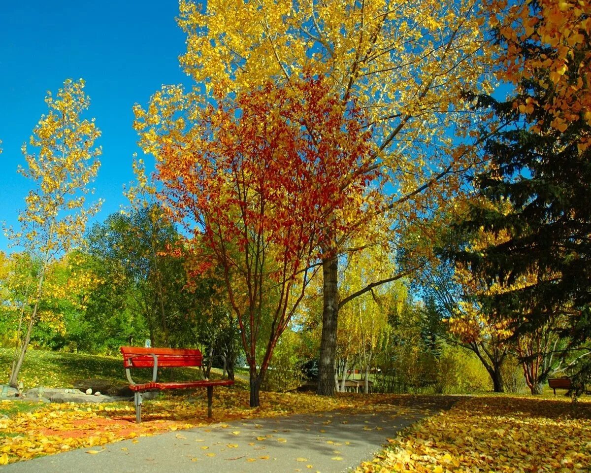 Сентябрь апрель