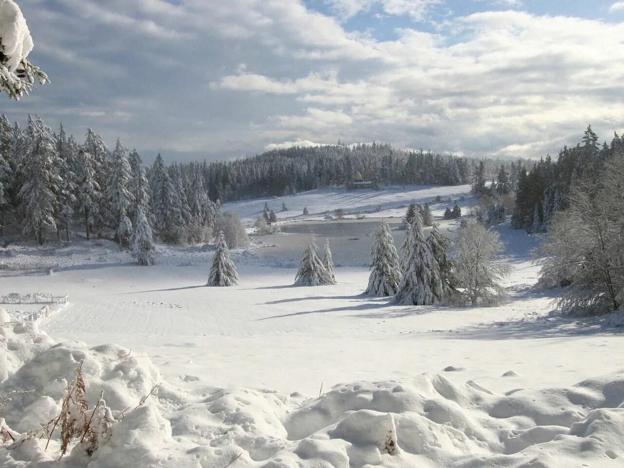 Зимнее поле. Природа Украины зимой. Зима в разгаре. Снежное поле фото. Разгар зимы