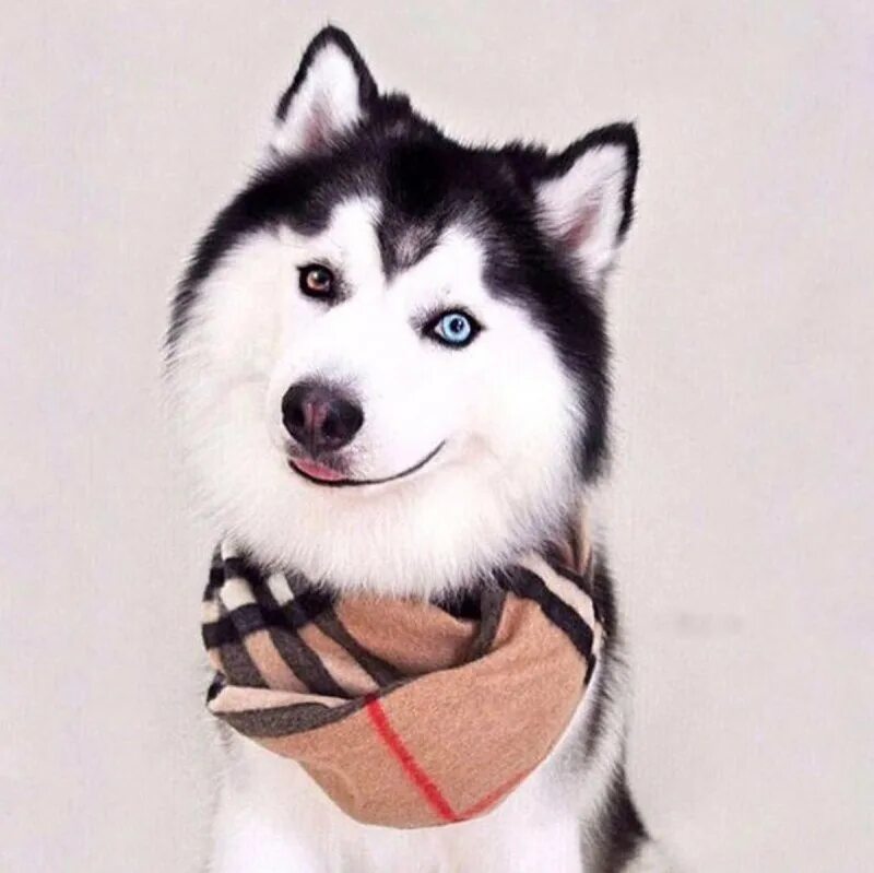 Идеи для лайка без лица