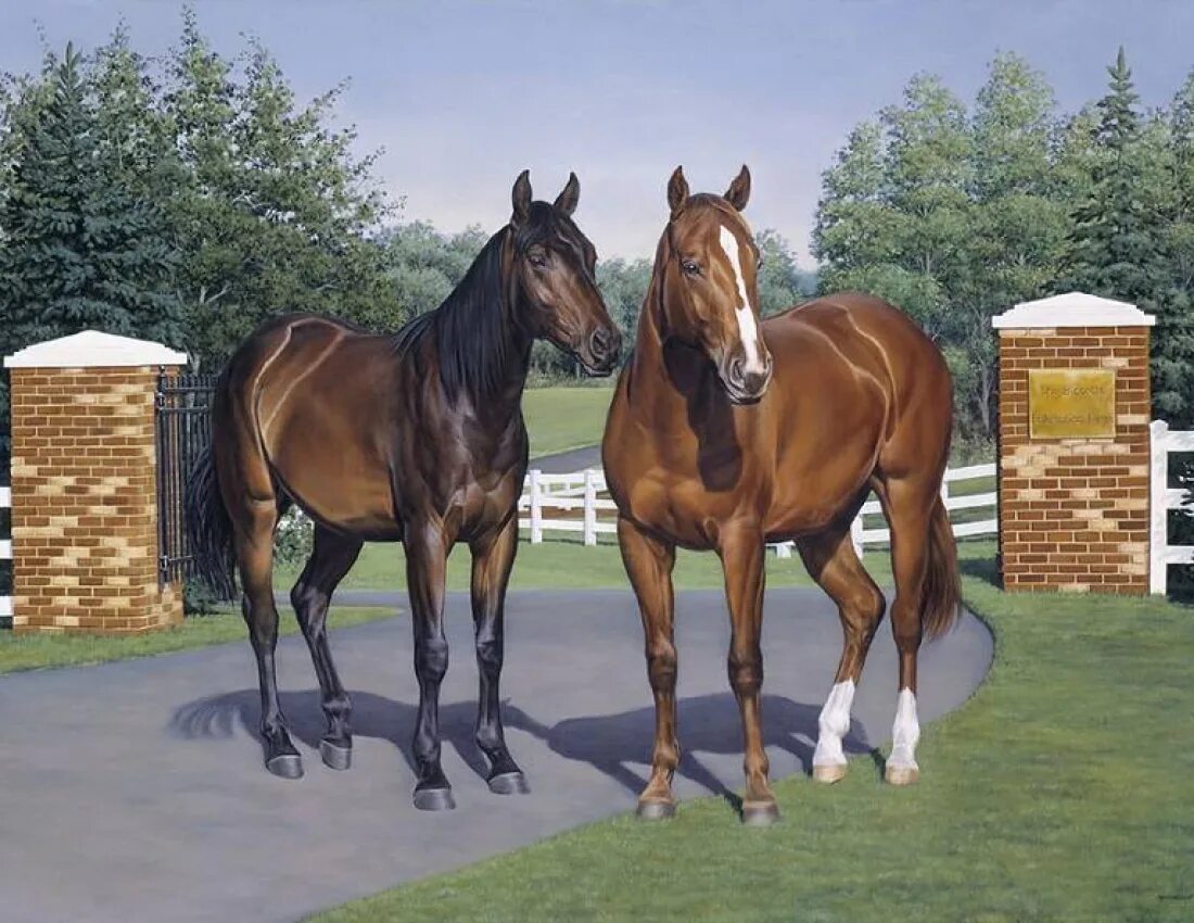 Порода мустанг жеребенок. Собака акрилом на холсте. Лошадь лошадка корень. Жеребенок. Лошадь лошадь лошадь 30.