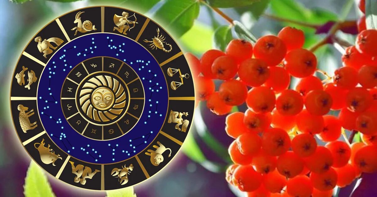 Гороскоп добрый день. Осень астрология. Осенний гороскоп. Осенние знаки зодиака. Зодиака 16.