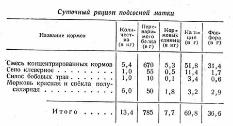 Кормление матки