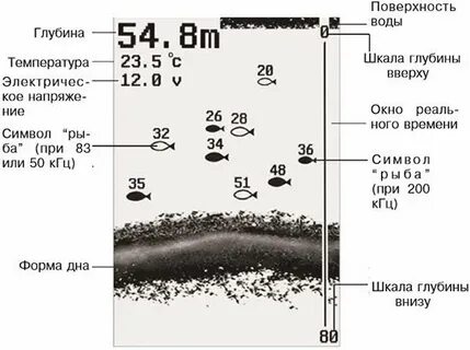 Эхолот распознающий рыбу