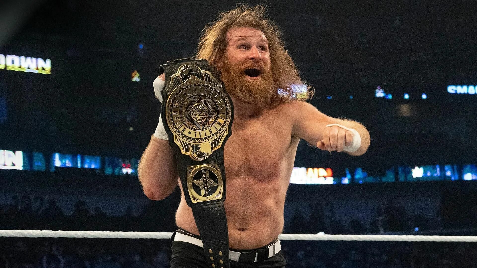 Сэми Зейн 2022. Sami Zayn 2022. WWE Sami Zayn. Сэми Карпинен.