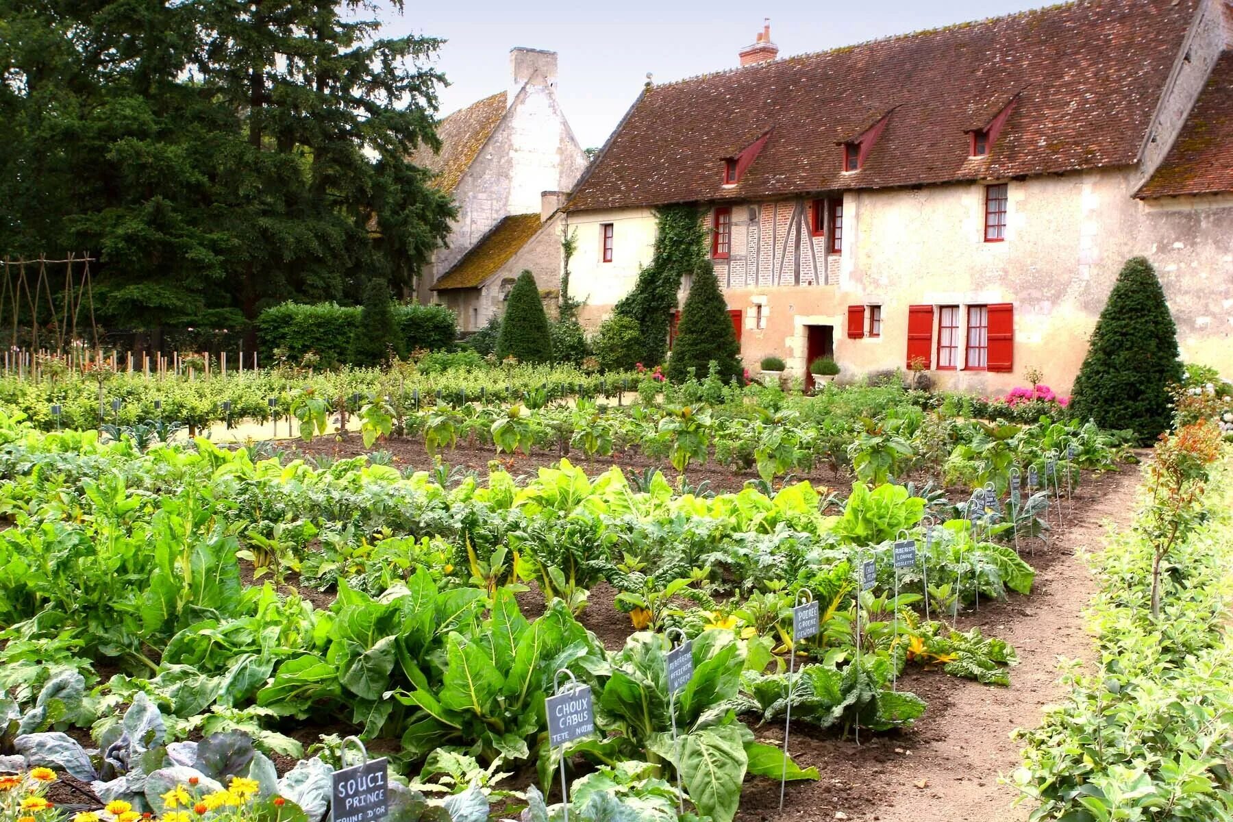 Kitchen garden перевод. Китхен Гарден. Сад и огород. Деревенский домик с огородом. Красивый домик с огородом.