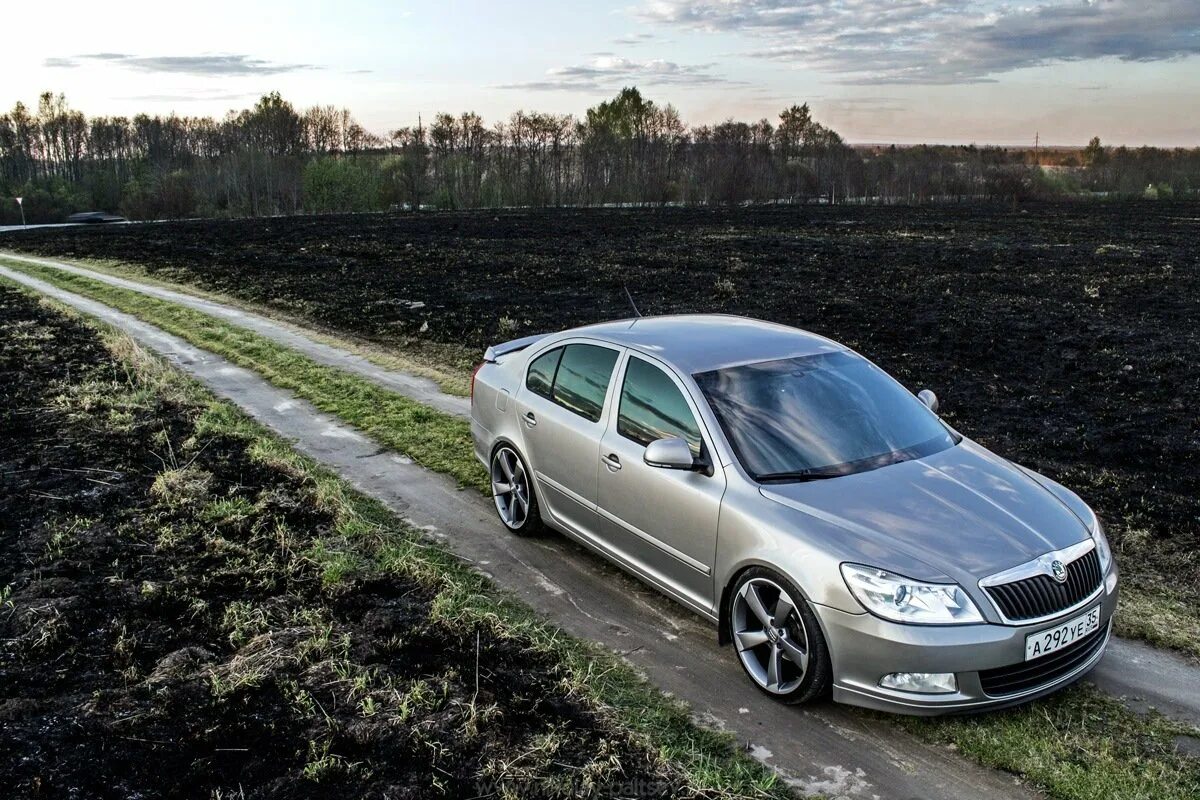 Skoda Octavia a5 2008-2013. Skoda Octavia 1z3. Skoda Octavia a5 FL.