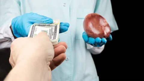 Информации передана в органы для
