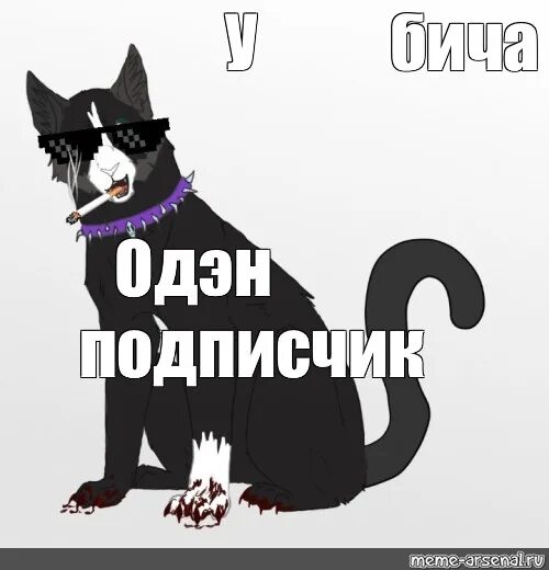 Хай написала. Хай бич. бич мем. коты воители бич мемы. мемы хай бич.
