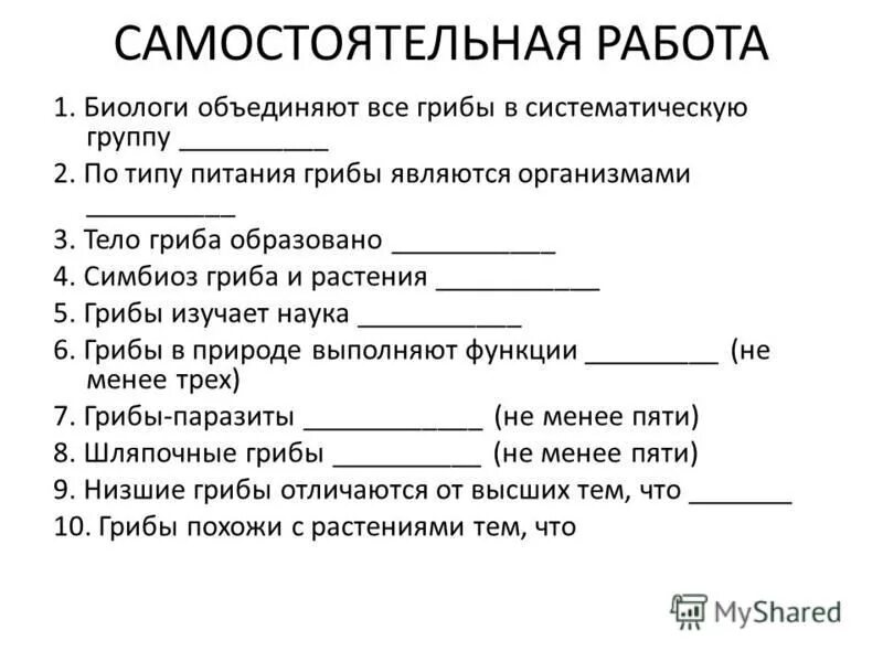 Биологи объединяют все грибы в систематическую группу