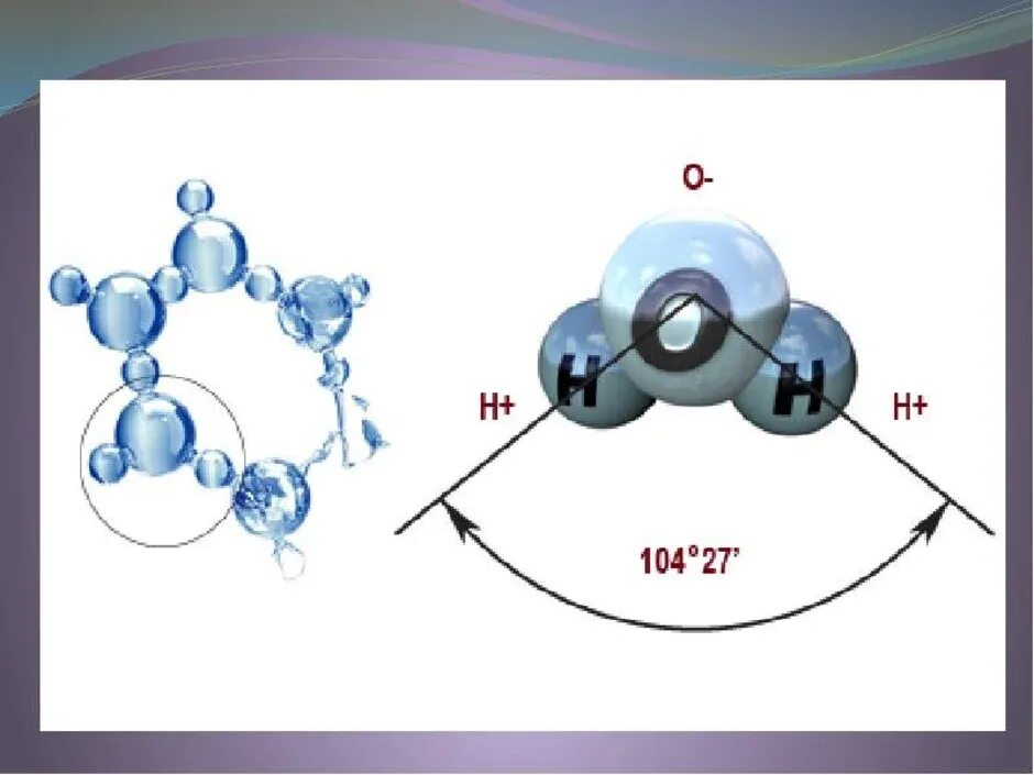 Строение молекулы воды диполь. Молекула воды диполь. Схема строения молекул h2o. H2o структура молекулы. Физика молекулы воды