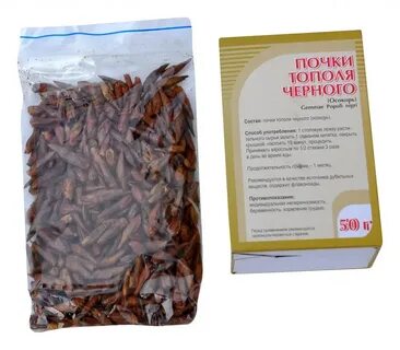 Почки черного