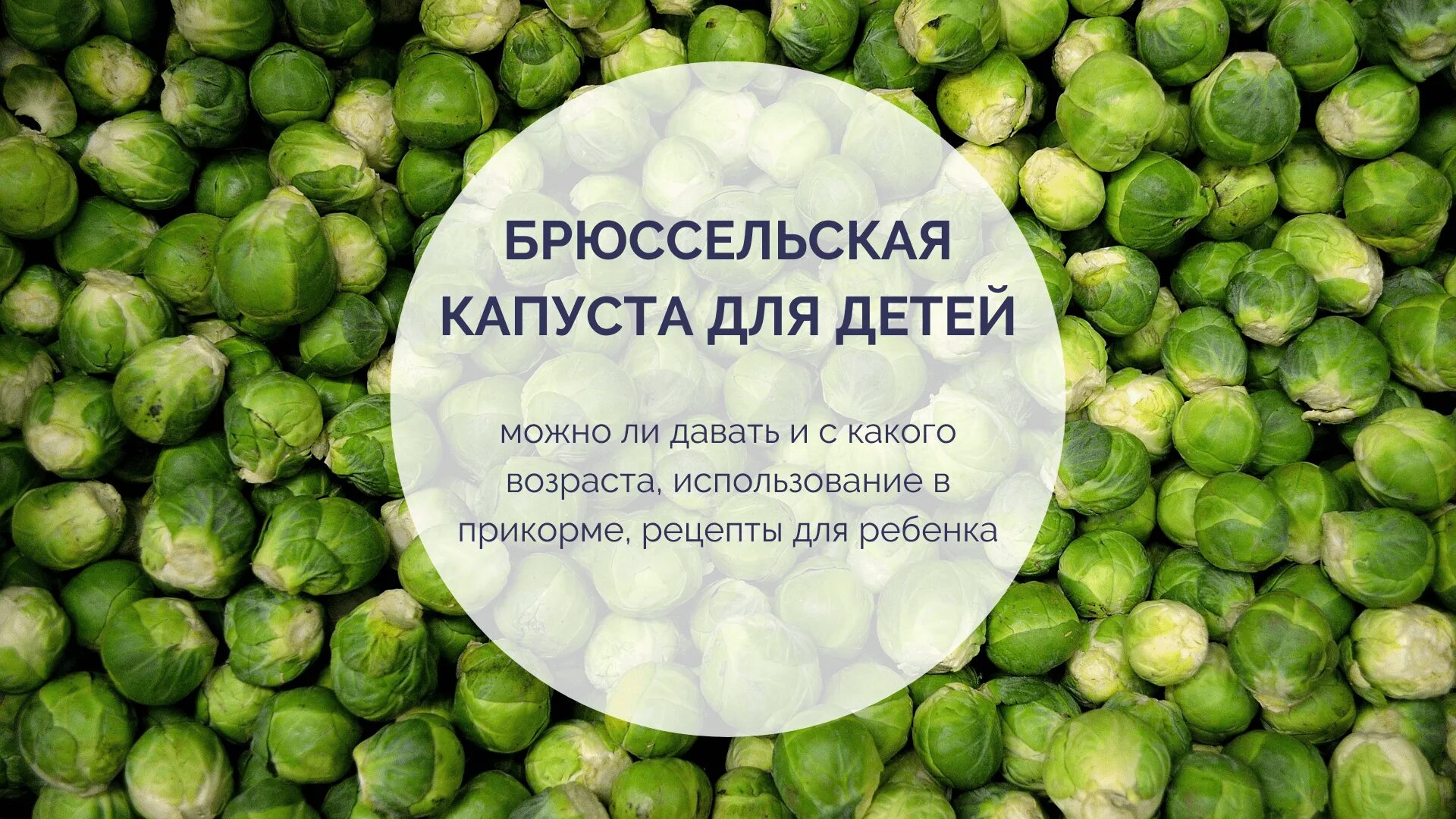 Дай капусту
