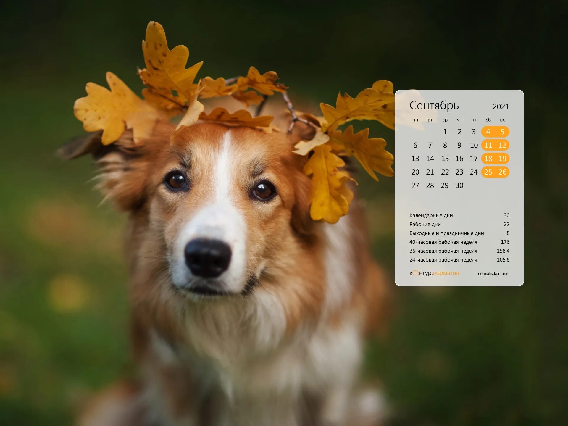 Красивый календарь. Красивый календарь на рабочий стол. Контур норматив календарь 2023. Календарь бухгалтера на рабочий стол. Весна эстетика.