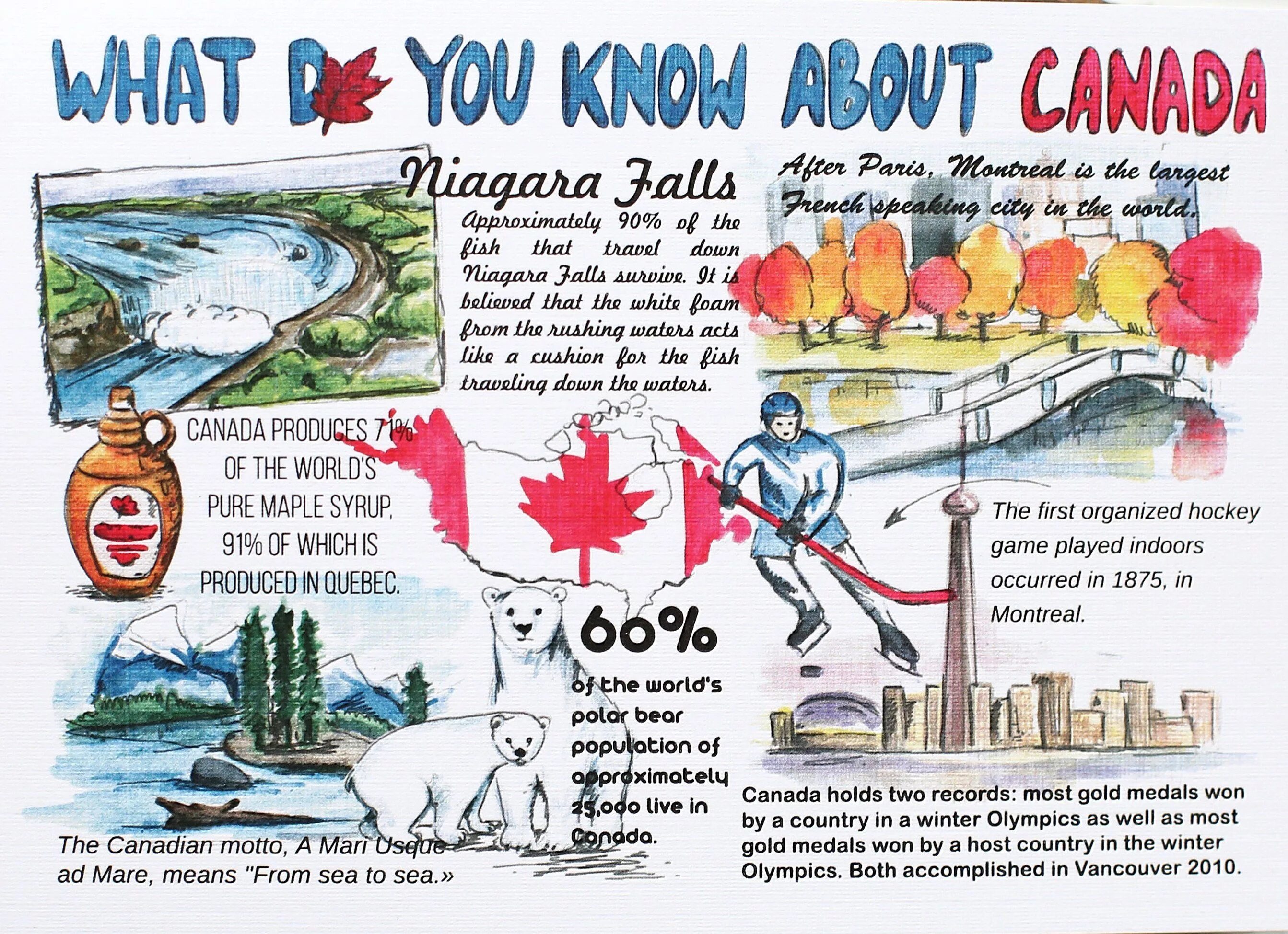 What you know about rolling down. What do you know. Canada facts. Facts about Canada. Did you know? Interesting facts.