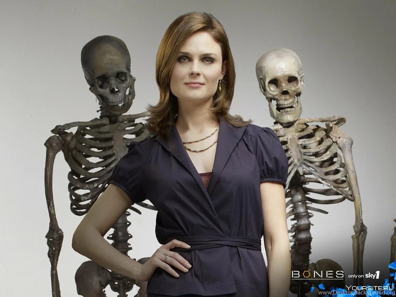 Темперанс Бреннан Bones. Доктор Бреннан кости.