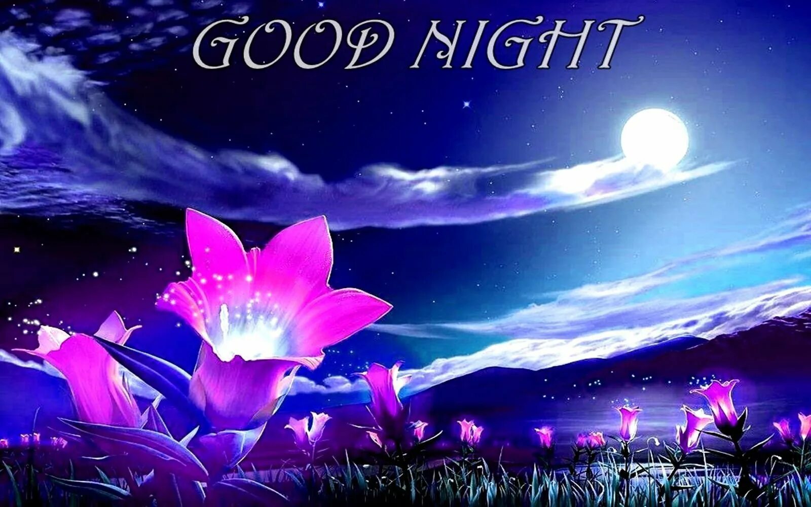 Подарить доброй ночи. Цветы ночью. доброй ночи. открытка good night. доброй ночи картинки.