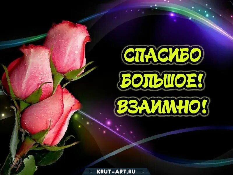 Спасибо взаимно картинки. Спасибо за поздравления взаимно. спасибо взаимно. открытки спасибо взаимно. спасибо большое взаимно.