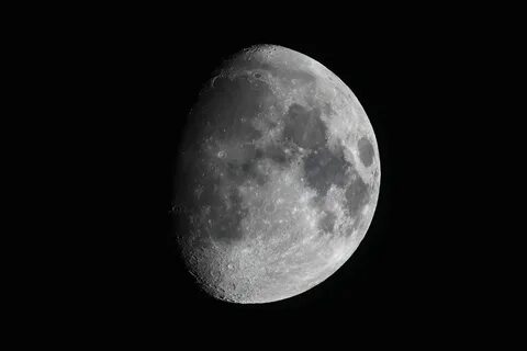 Moon society