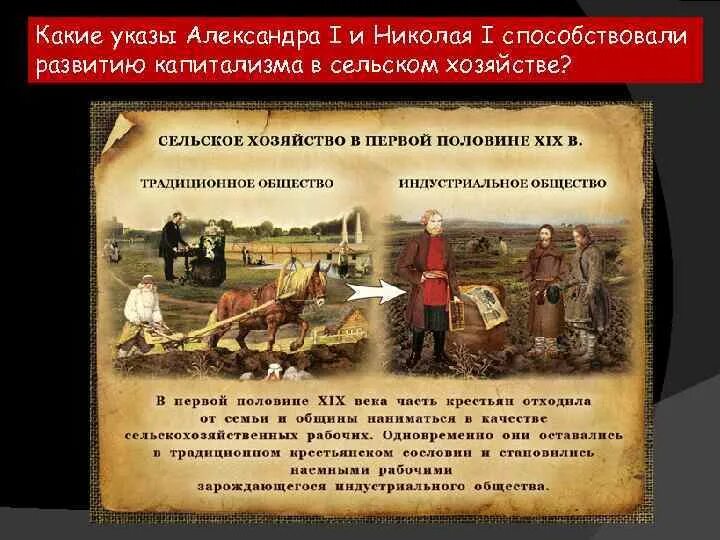 Сельское хозяйство при Александре 1. Пути развития капитализма в сельском хозяйстве. Развитие капитализма в сельском хозяйстве.