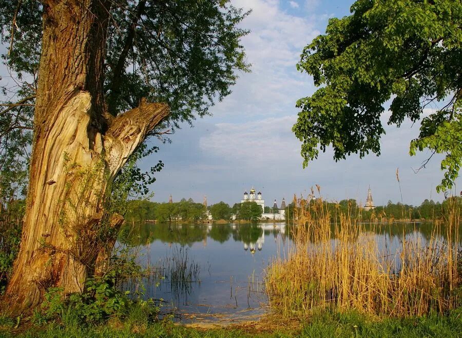Шигоны самарская область,барский пруд. Воронцовский парк жуковский осень. Пруд 4 букв. Пруд сокол саратов. Усадьба воронцово пруд большой осень.