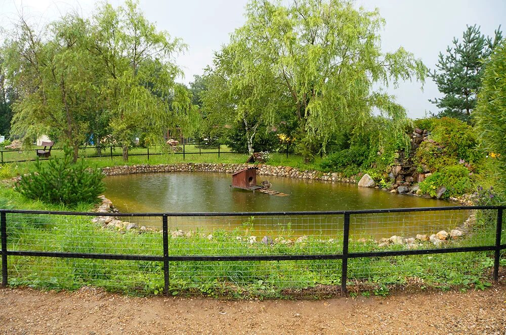 этномир воробьи парк птиц. парк птиц «воробьи», акатово. парк воробушек. птичий парк воробьи в калужской области. парк птиц воробьи калужская область.