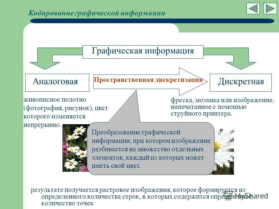 Защита графической информации. Кодирование графической информации пространственная дискретизация. источники графической информации. интеллект карта кодирование графической информации. условия графической информации.