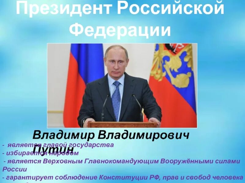 Каково политическое устройство россии