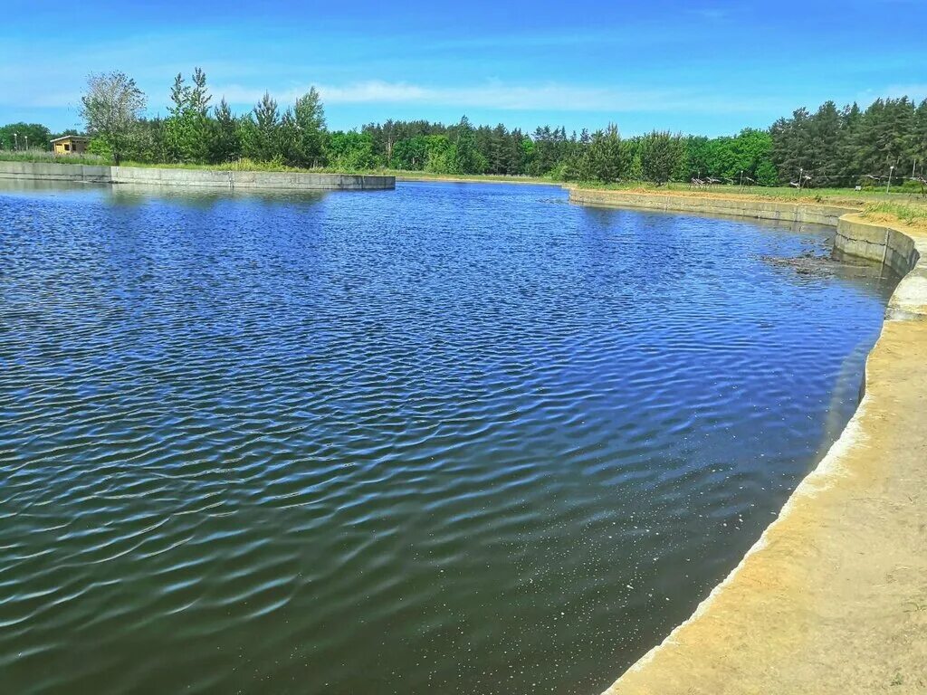 поселок чистые пруды крекшино. чистые пруды ульяновск. участок чистые пруды. чистые пруды 2 коттеджный поселок. клубный поселок чистые пруды тольятти.