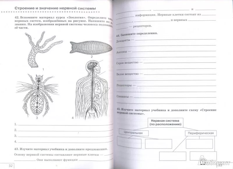 Биология человек 8 класс Сонин н.и Сапин м.р. Биология 9 рабочая тетрадь Сонин. Биология 9 класс рабочая тетрадь Сонин. Биология 5 класс рабочая тетрадь Сонин. Биология 8 класс тетрадь с дельфином