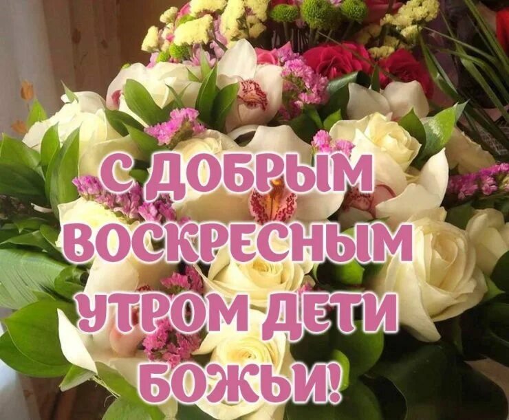 Весенняя радость. Доброе утро божьих благословений. Будьте здоровы и богом хранимы. Доброе утро будьте здоровы и богом хранимы. Благословенного дня христианские пожелания.