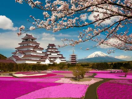Desktop HD wallpaper: Castles, Sakura, Park, Japan, Volcano, Mount Fuji