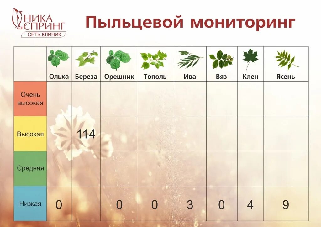 Погода пыльца. Пыльцевой мониторинг. Мониторинг ольхи пыления. Мониторинг пыльцы в СПБ. Пыльцевой мониторинг 2023.