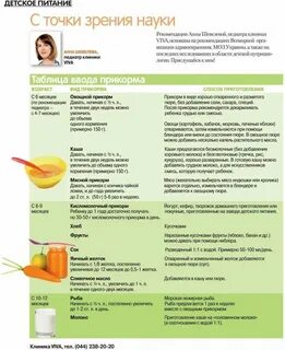 Со скольки можно кабачок