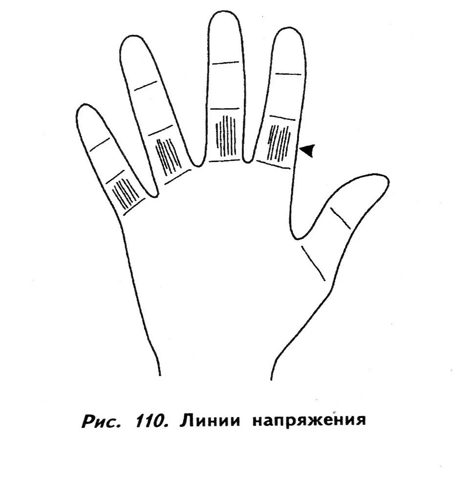 Пальцы в хиромантии. Линии стресса на пальцах. Линия между средним и безымянным пальцем. Вертикальные линии на пальцах. Фаланги пальцев хиромантия.