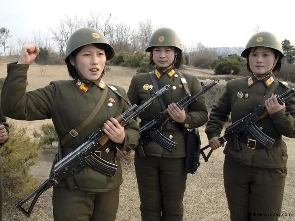 северокорейский автомат. северная вс южная корея. ак 47 северная корея. ким чен ын с пулеметом. Type-88 шнековый магазин.