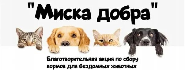 Благотворительная акция по сбору корма для животных. Благотворительная акция миска добра. вакцинация собак и кошек против бешенства. ресо вет для питомцев. ресо гарантия вет страхование животных.