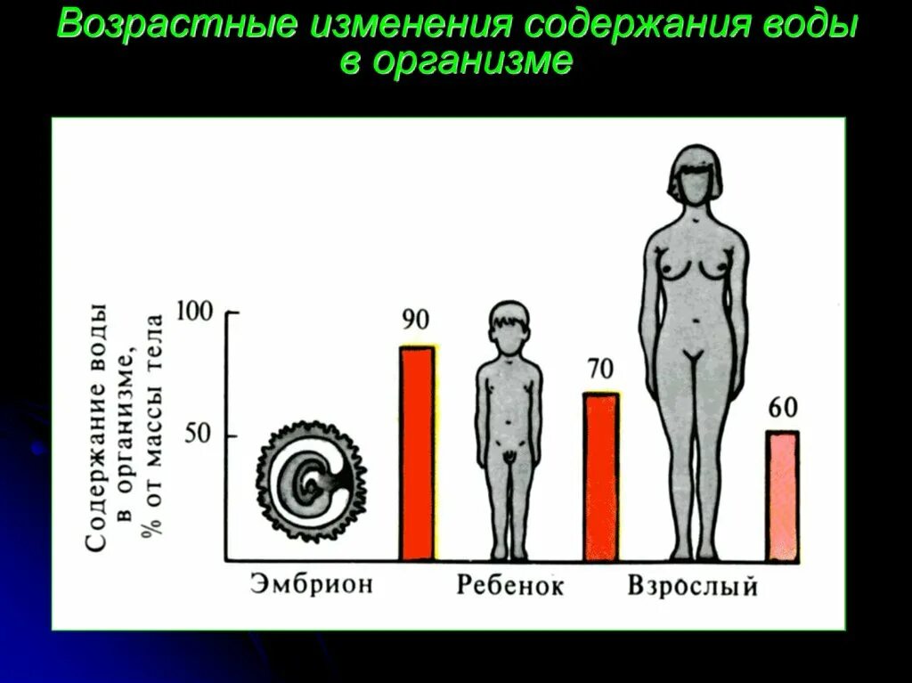 Изменения в организме 7. Возрастные изменения организма. Возрастные изменения человека. Изменения в организме с возрастом. Возрастные изменения организма человека.