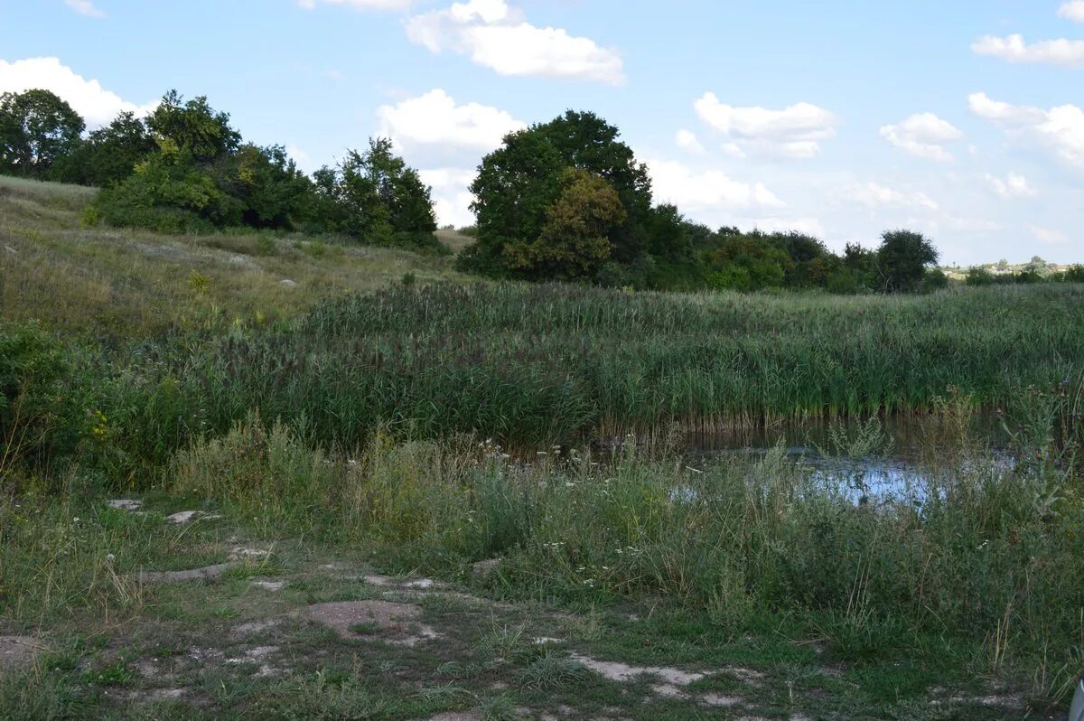 чернавка панинский район. семь колодцев воронежская область. село чернавка панинский район. чернавка панинский район воронежская область. село чернавка панинский район воронежская область.