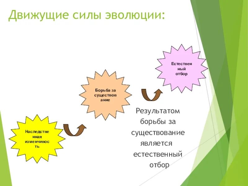 Факторы и движущие силы эволюции естественный отбор. Движущие силы эволюции таблица 9 класс. Что является движущей силой эволюции. Перечислите движущие силы эволюции. В результате действия движущих сил эволюции происходит