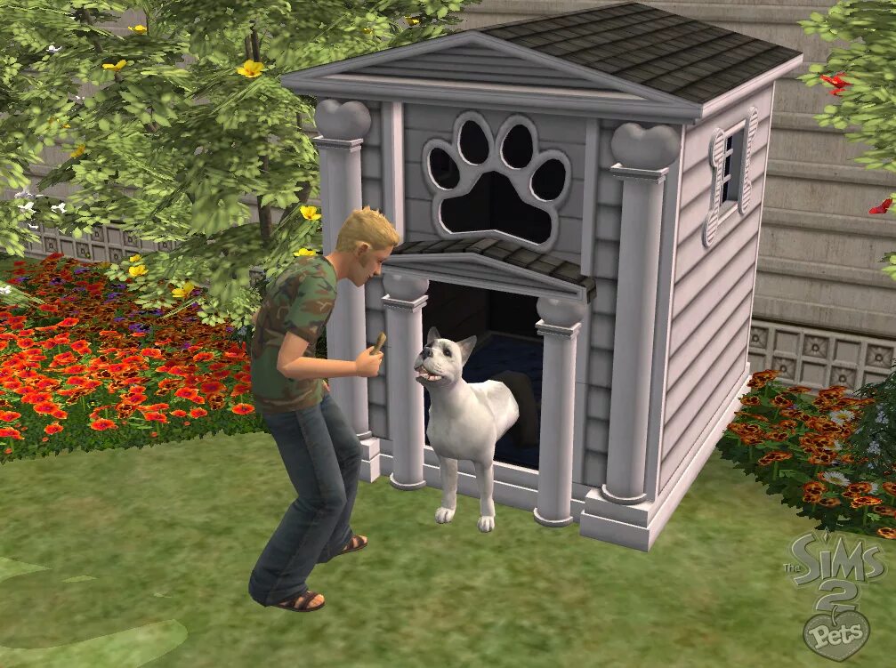 The SIMS 2: питомцы. Симс 2 питомцы. SIMS 2 дополнение Pets. The SIMS 2 Pets (ps2).