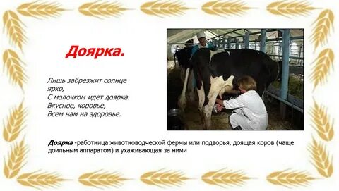Рассказы доярка